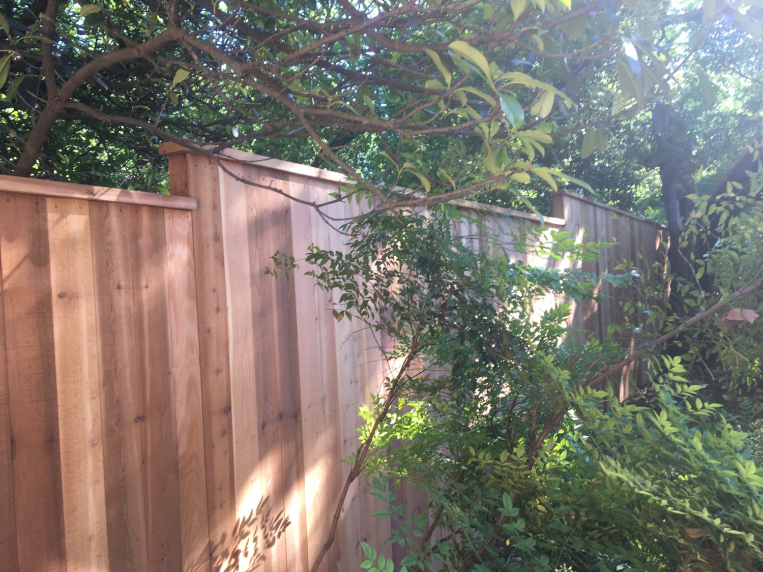 Austin landscape and design - fencing