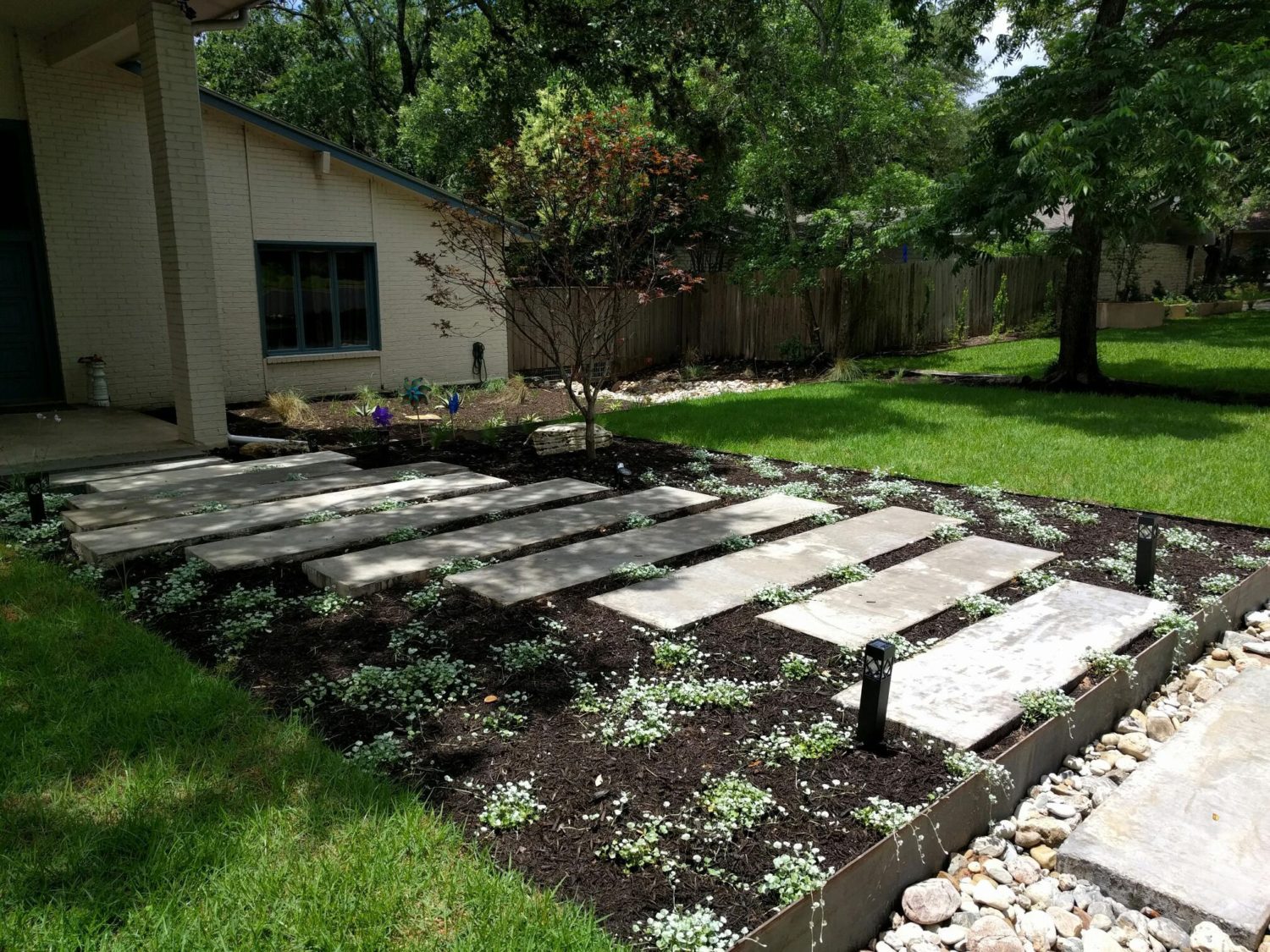 Austin landscape and design - Zoysia lawn