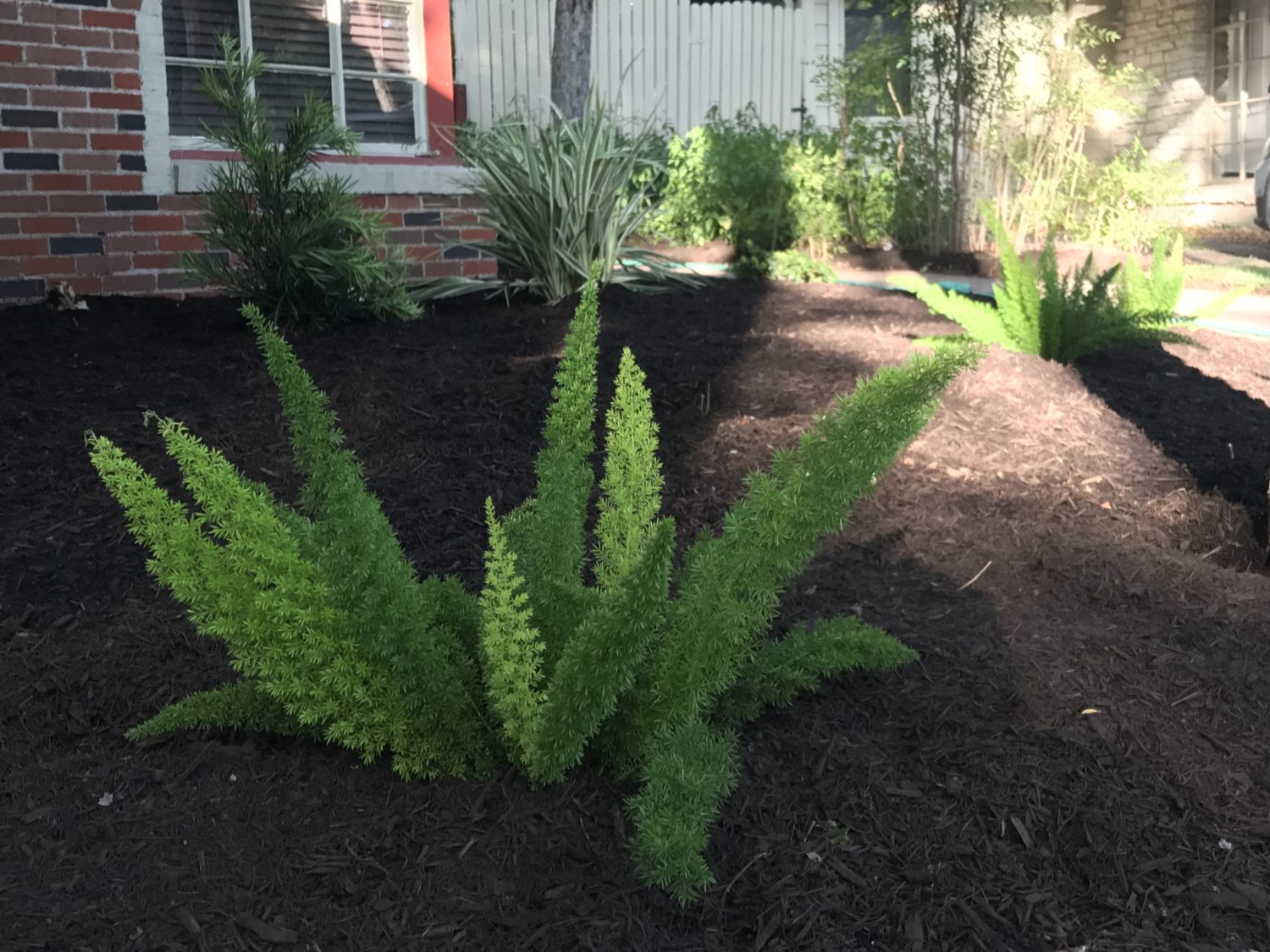 Austin landscape and design - cedar bench and boardwalk