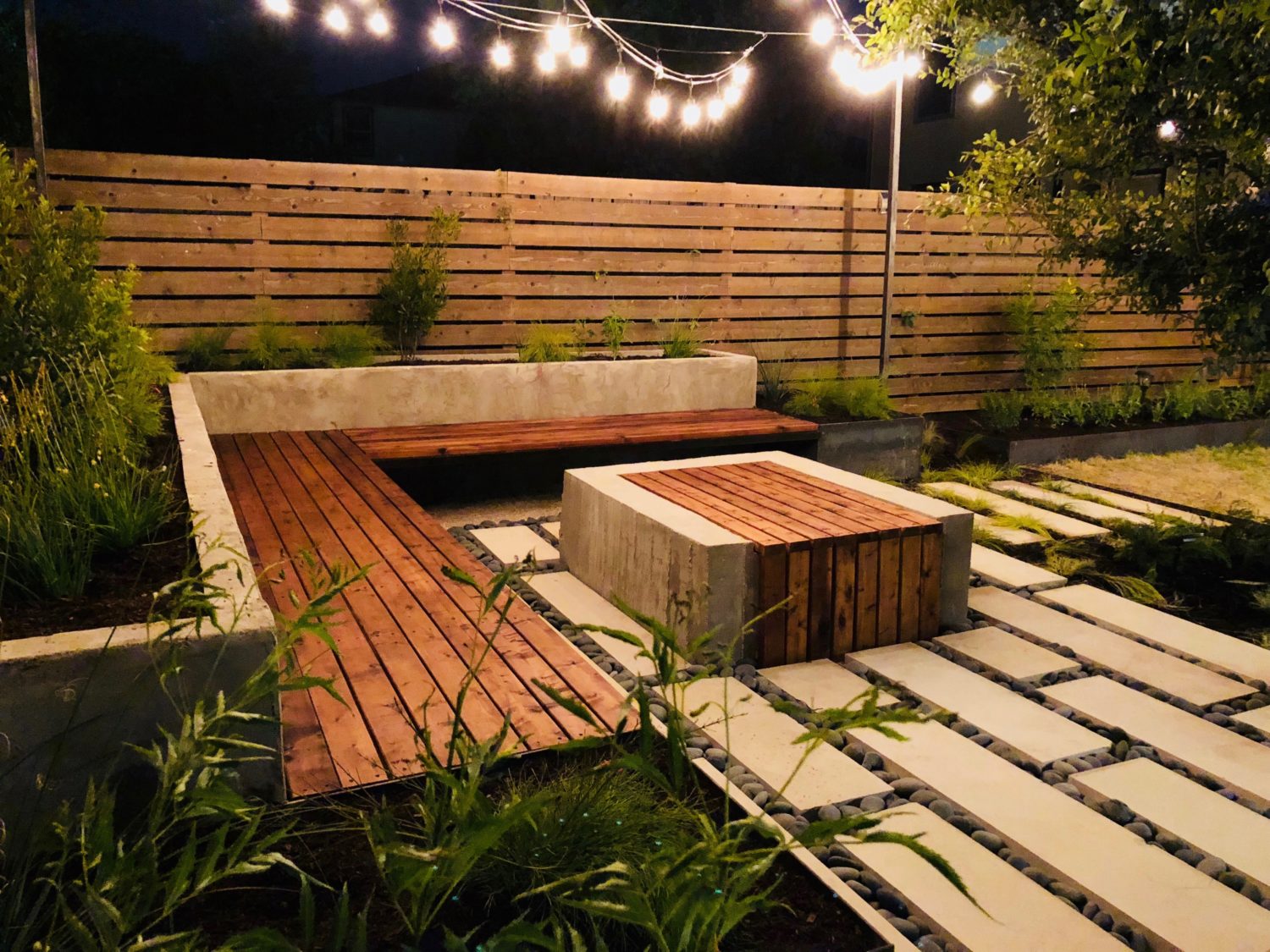 Austin landscape and design