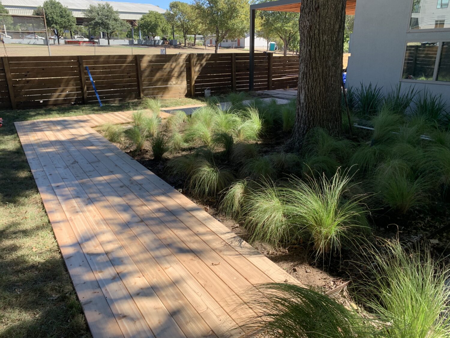 Austin landscape and design - cedar boarwalk and grama grass